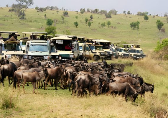 [Downloader.la]-65c8e84cea738